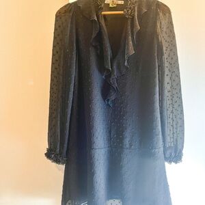 Zara Navy Sheer Long Sleeve Dress